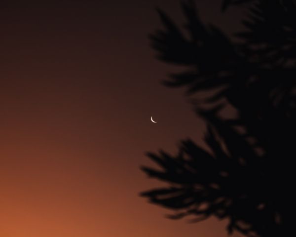 moon, night sky Wallpaper 1280x1024