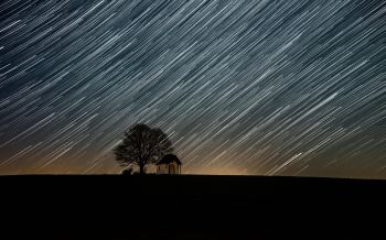 night, movement of the stars Wallpaper 2560x1600