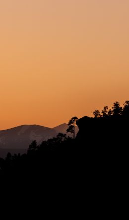 sunset, pink sky Wallpaper 600x1024