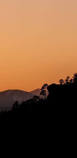 sunset, pink sky Wallpaper 1080x2220