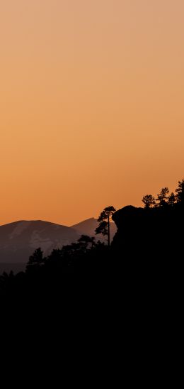 sunset, pink sky Wallpaper 1080x2280