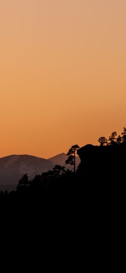 sunset, pink sky Wallpaper 1080x2340