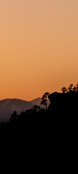 sunset, pink sky Wallpaper 1080x2400