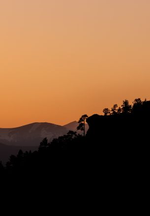 sunset, pink sky Wallpaper 1640x2360