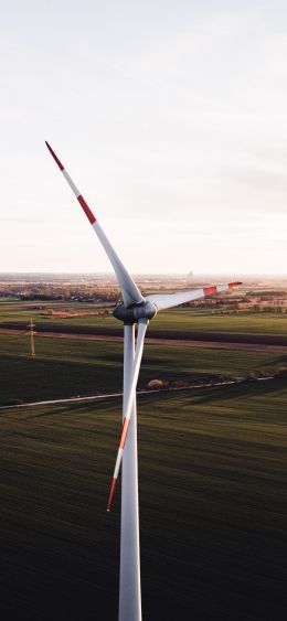 Brandenburg, Germany Wallpaper 1080x2340