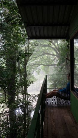 Costa Rica, tree house Wallpaper 640x1136