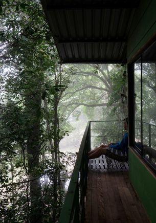 Costa Rica, tree house Wallpaper 1668x2388