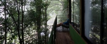 Обои 3440x1440 Коста-Рика, домик на дереве