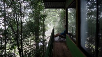 Обои 2560x1440 Коста-Рика, домик на дереве