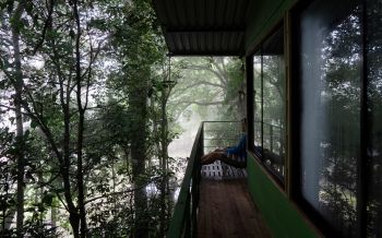 Обои 2560x1600 Коста-Рика, домик на дереве