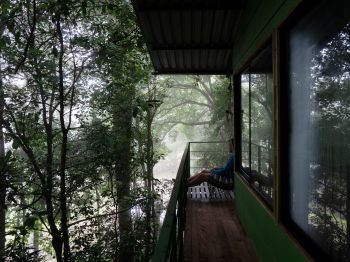 Обои 800x600 Коста-Рика, домик на дереве