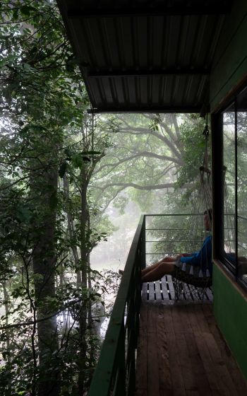 Обои 1200x1920 Коста-Рика, домик на дереве