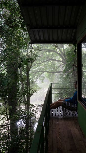 Обои 640x1136 Коста-Рика, домик на дереве