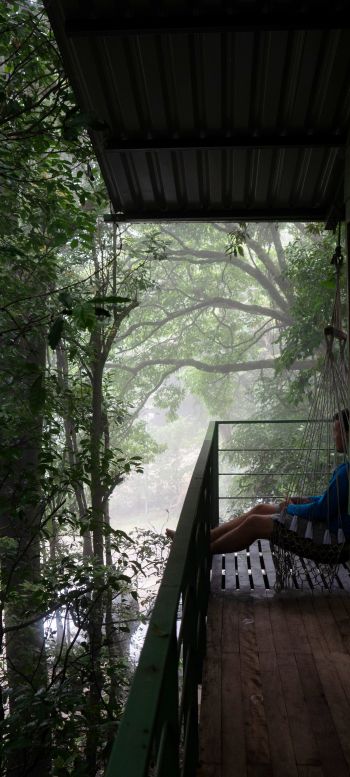 Обои 1080x2400 Коста-Рика, домик на дереве