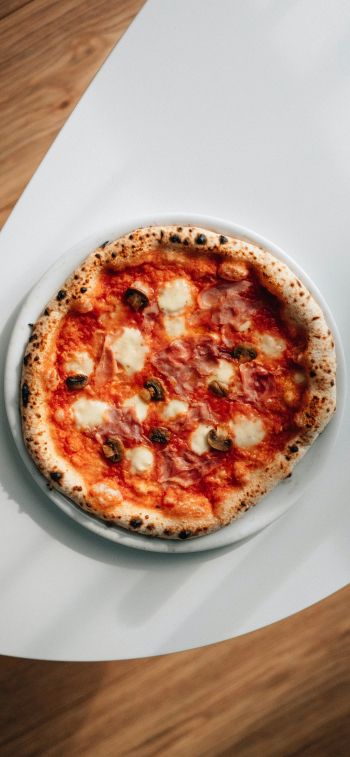Обои 828x1792 неаполитанская пицца