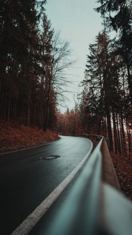 wet road, in the woods Wallpaper 640x1136