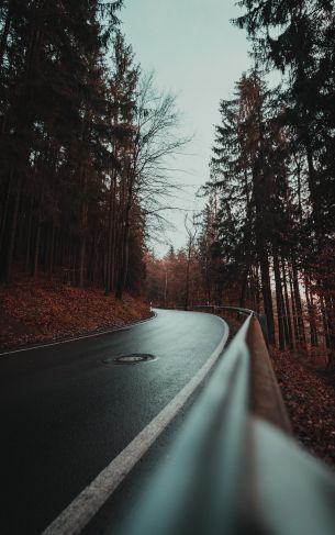 wet road, in the woods Wallpaper 1752x2800