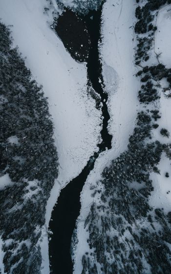 winter scenery, above ground Wallpaper 800x1280