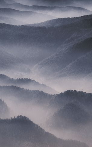 hills in the fog Wallpaper 1752x2800