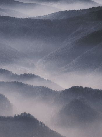 hills in the fog Wallpaper 1620x2160