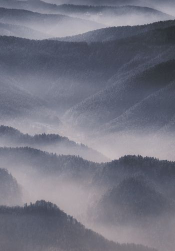 hills in the fog Wallpaper 1640x2360