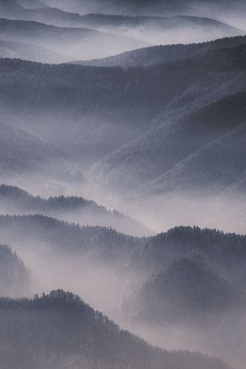 hills in the fog Wallpaper 640x960