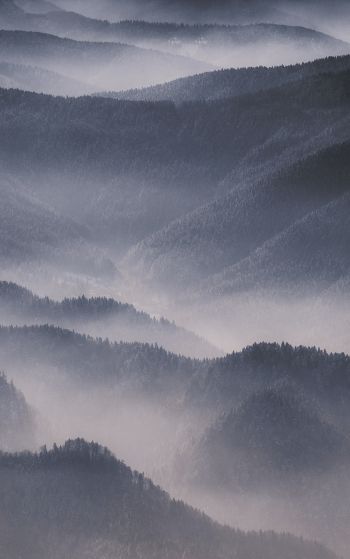 hills in the fog Wallpaper 1752x2800