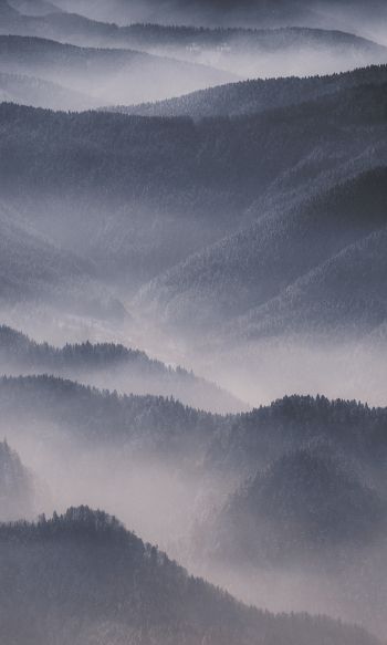 hills in the fog Wallpaper 1200x2000