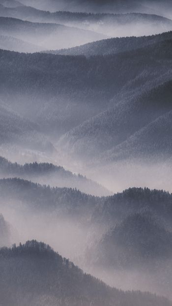 hills in the fog Wallpaper 1440x2560