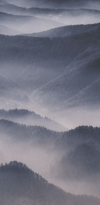 hills in the fog Wallpaper 1080x2220