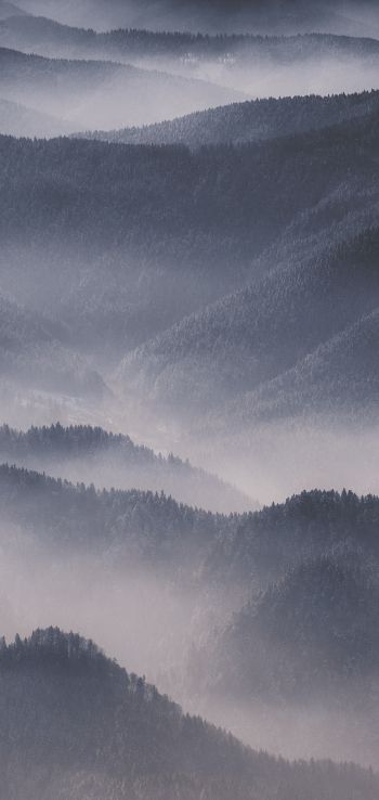 hills in the fog Wallpaper 1440x3040