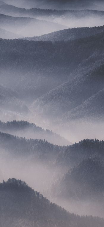 hills in the fog Wallpaper 1170x2532