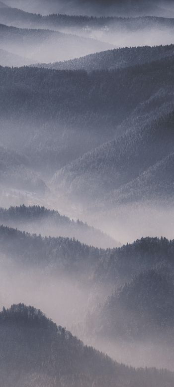 hills in the fog Wallpaper 720x1600