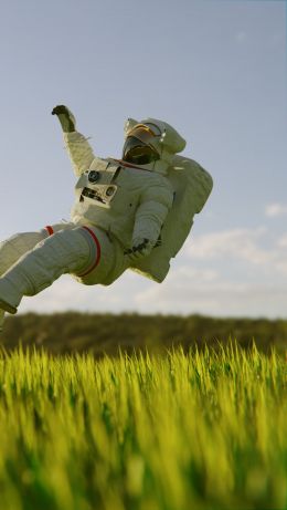 astronaut, touchdown Wallpaper 640x1136