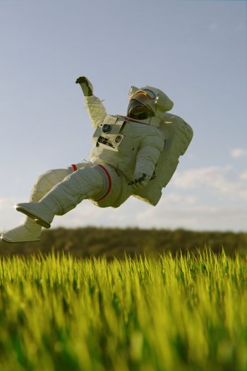 astronaut, touchdown Wallpaper 640x960