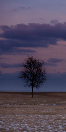 field, steppe, landscape Wallpaper 720x1440