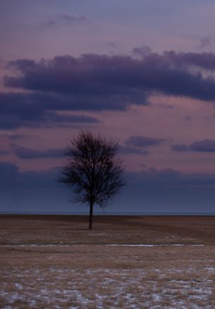 field, steppe, landscape Wallpaper 1640x2360