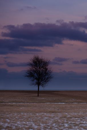 field, steppe, landscape Wallpaper 640x960