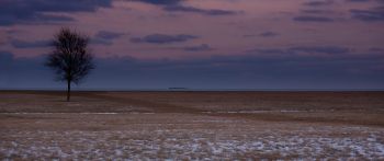 field, steppe, landscape Wallpaper 2560x1080