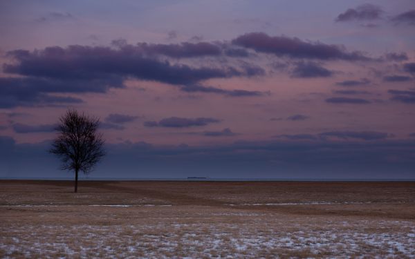 field, steppe, landscape Wallpaper 2560x1600