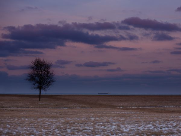 field, steppe, landscape Wallpaper 800x600