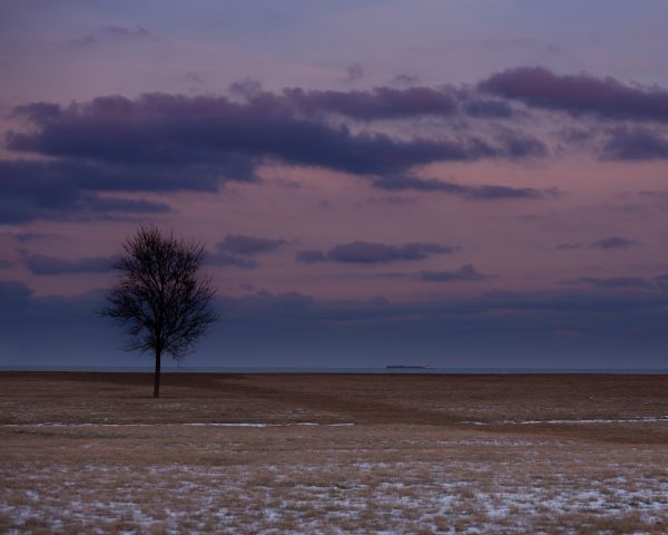 field, steppe, landscape Wallpaper 1280x1024