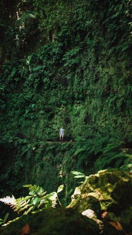 Madeira Islands, Portugal Wallpaper 640x1136