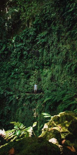 Madeira Islands, Portugal Wallpaper 720x1440