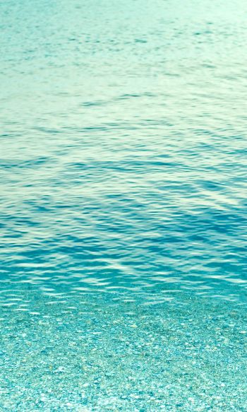 sea, water, blue Wallpaper 1200x2000