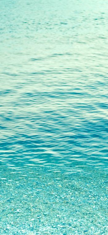 sea, water, blue Wallpaper 1170x2532