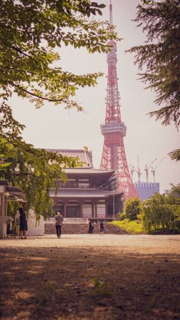 Japan, Tokyo Wallpaper 640x1136