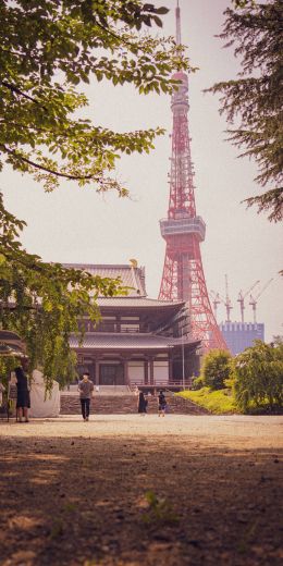 Japan, Tokyo Wallpaper 720x1440