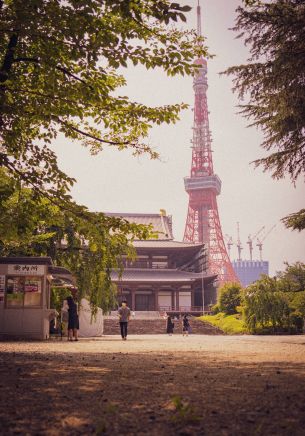 Japan, Tokyo Wallpaper 1668x2388