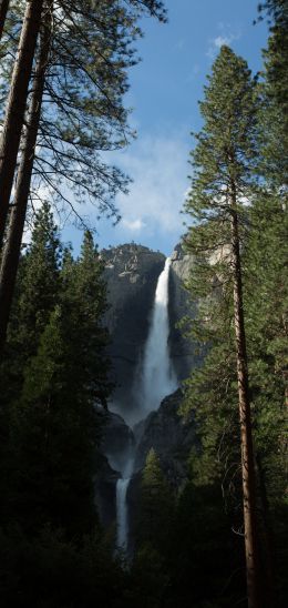 Yosemite, nature park Wallpaper 1440x3040